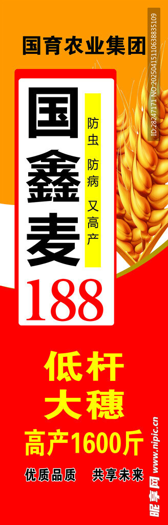 小麦