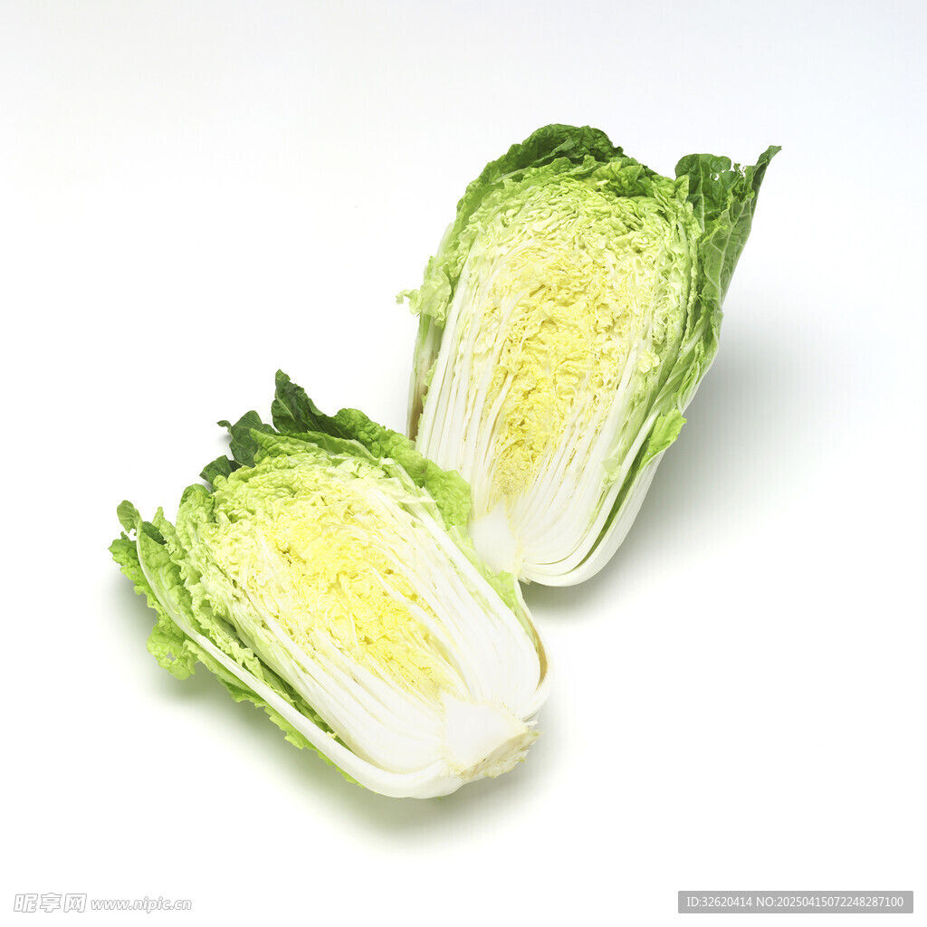 大白菜