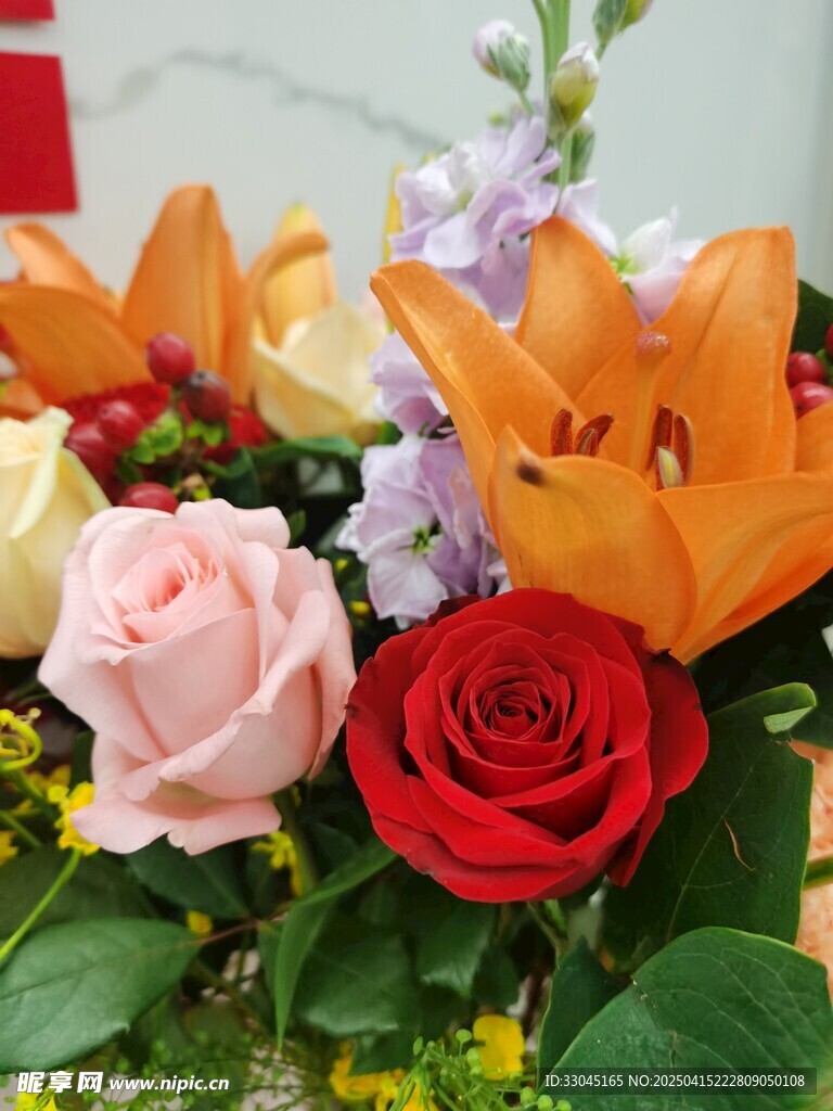 月季花