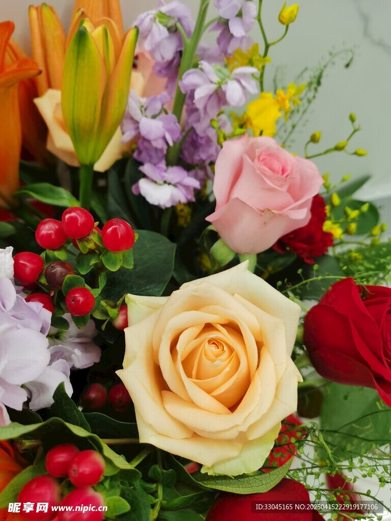 玫瑰花