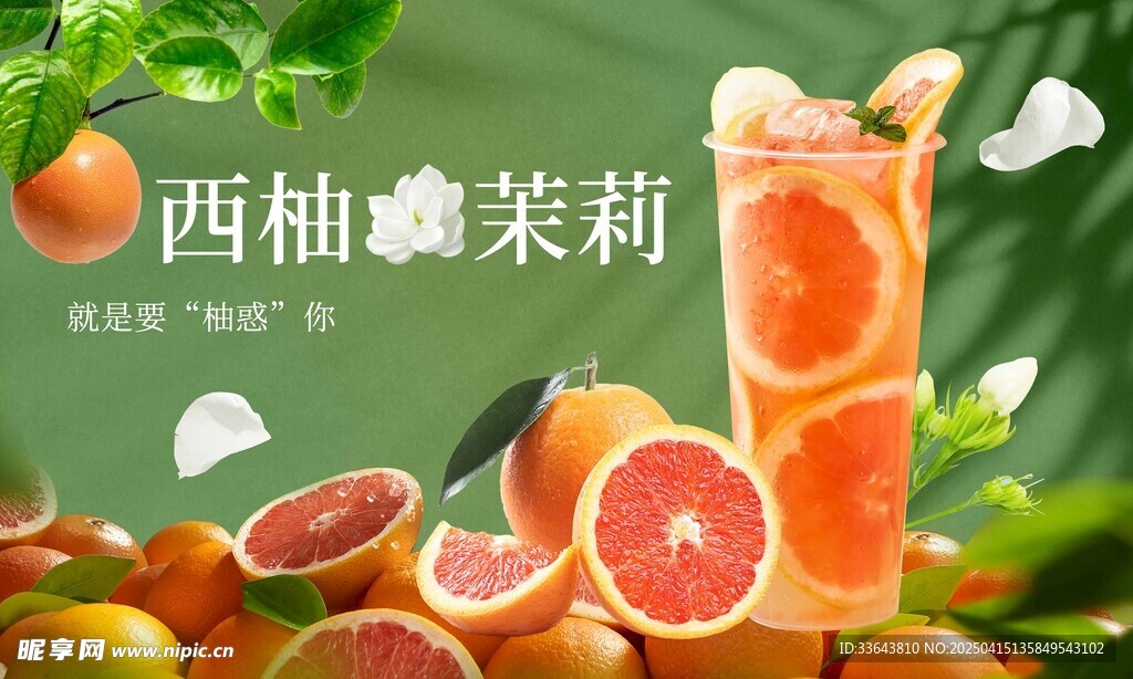 西柚茉莉