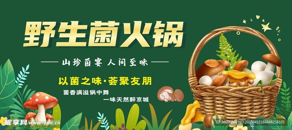野生菌