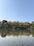 小溪