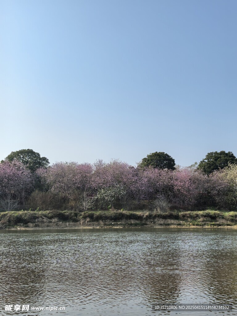 小溪边