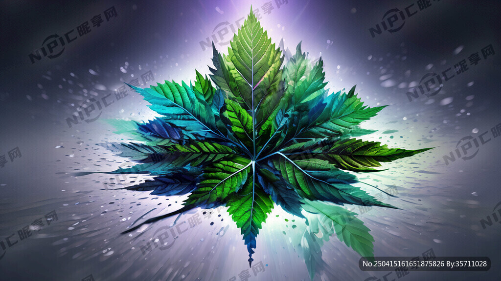 罗布麻叶 透明感 全息色
