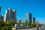 都市高楼与蓝天绿树景观