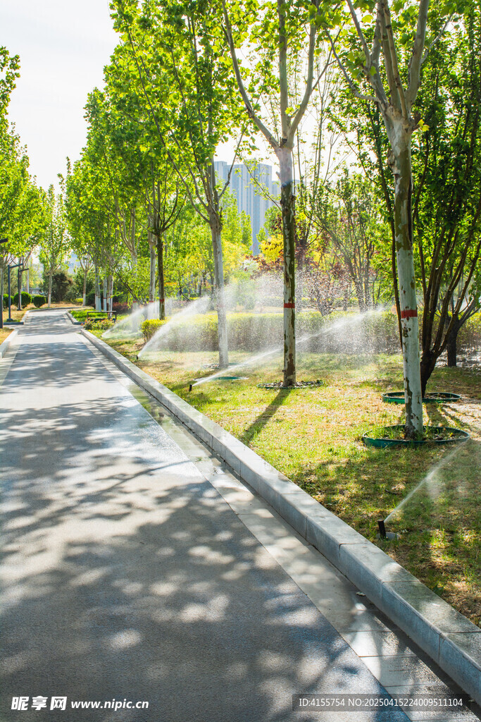 林荫下的静谧城市道路