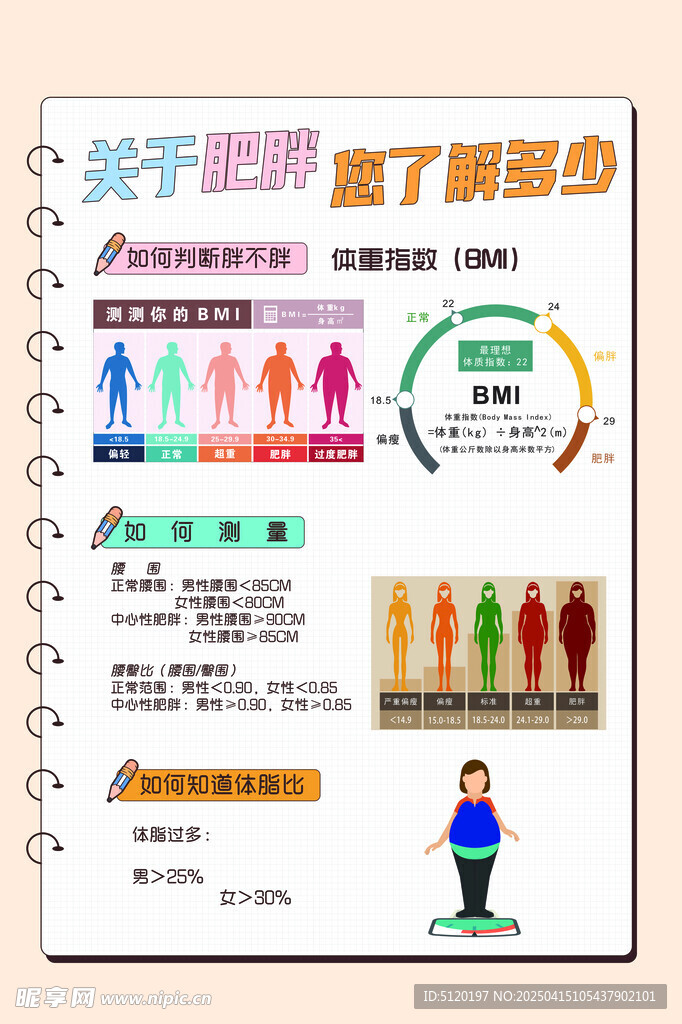 关于肥胖 减重