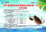 海参药产品介绍及参数