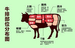 牛排部位
