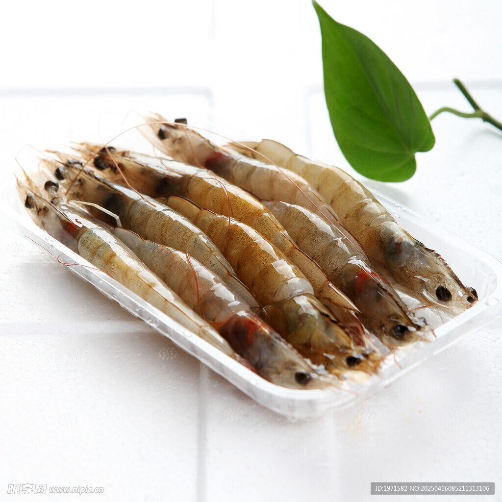 青虾 大虾