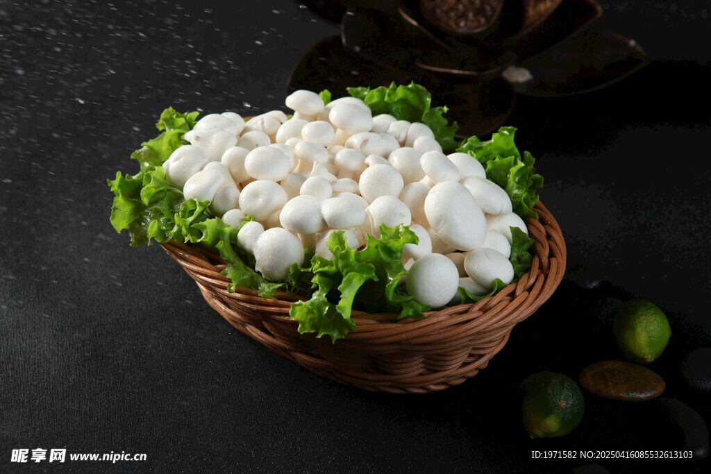 白玉菇