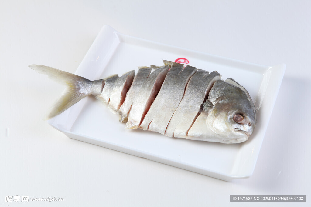 金昌鱼