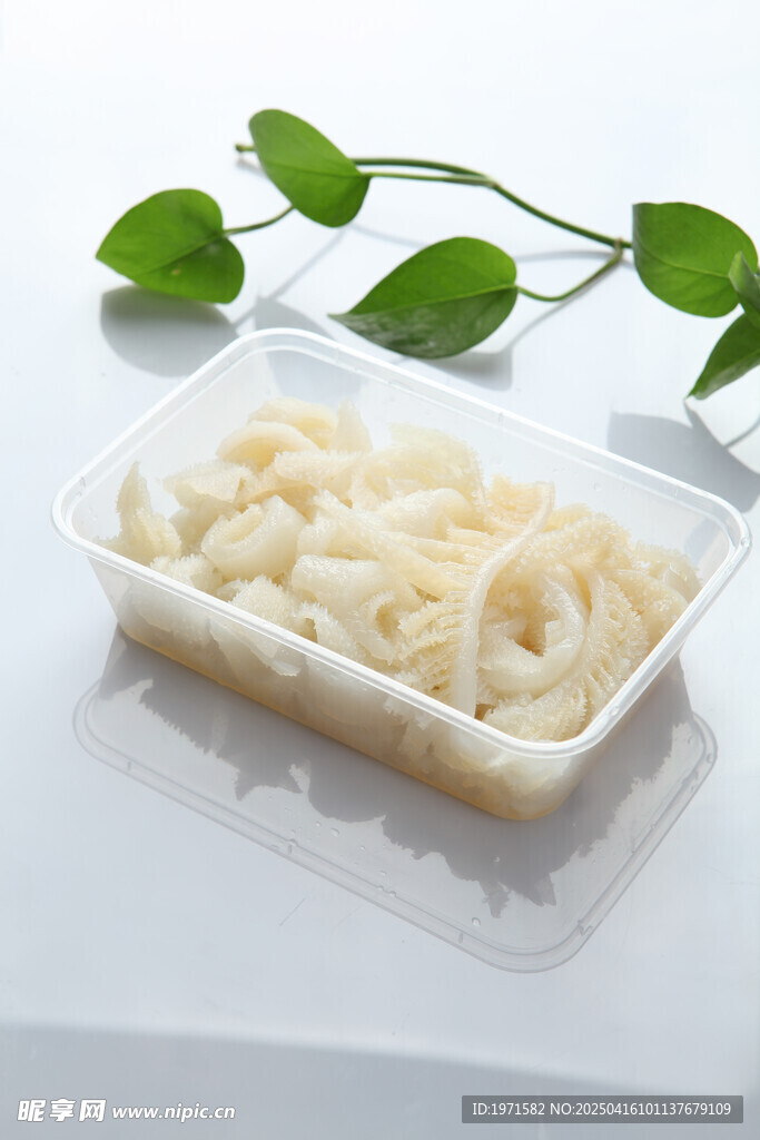 牛百叶
