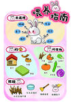 小兔子喂养