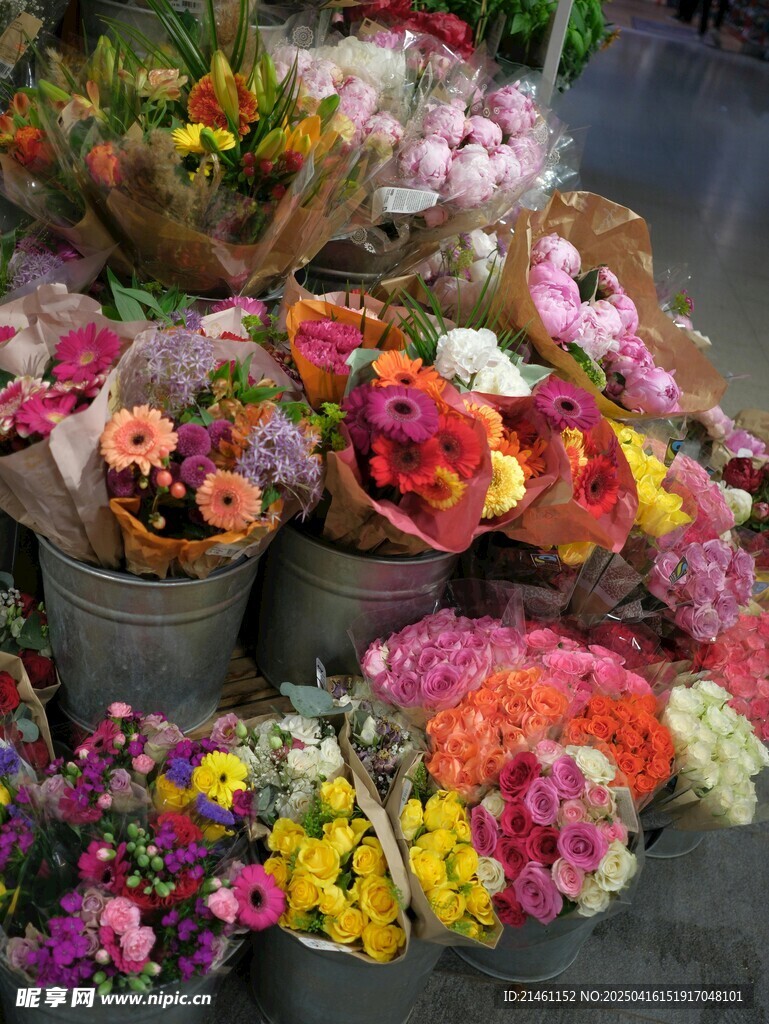 非洲菊