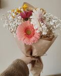 非洲菊