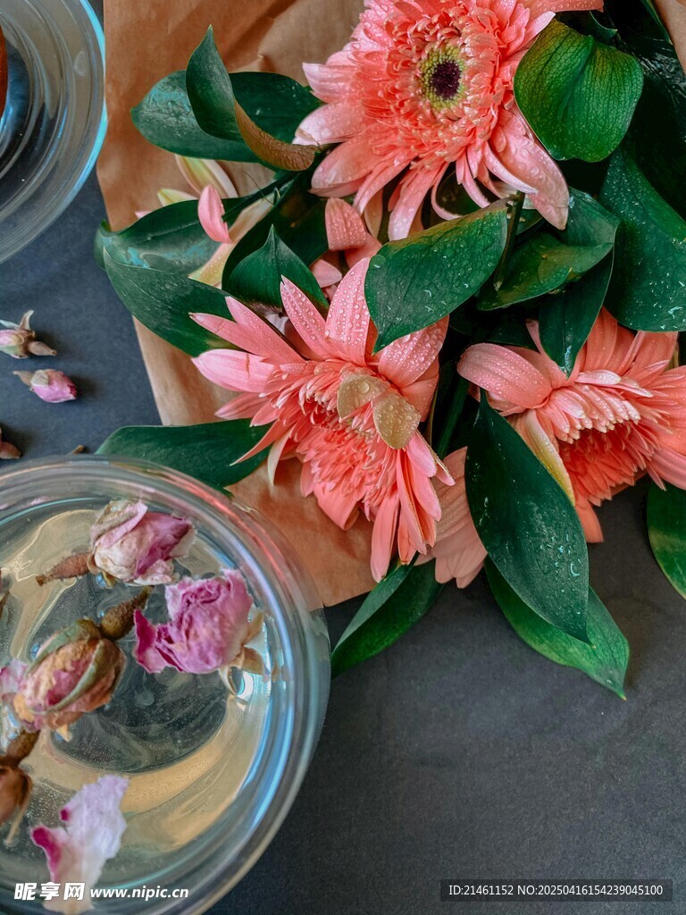 非洲菊