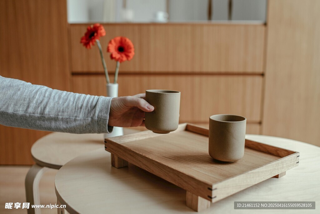 非洲菊