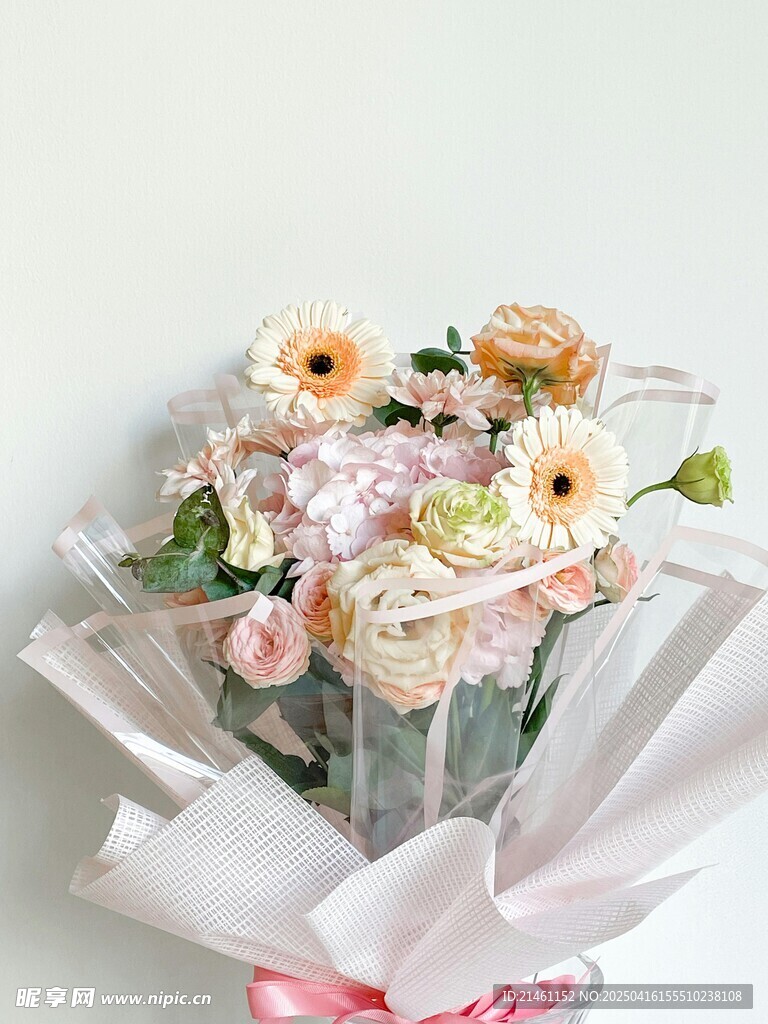 非洲菊