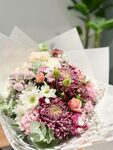 非洲菊