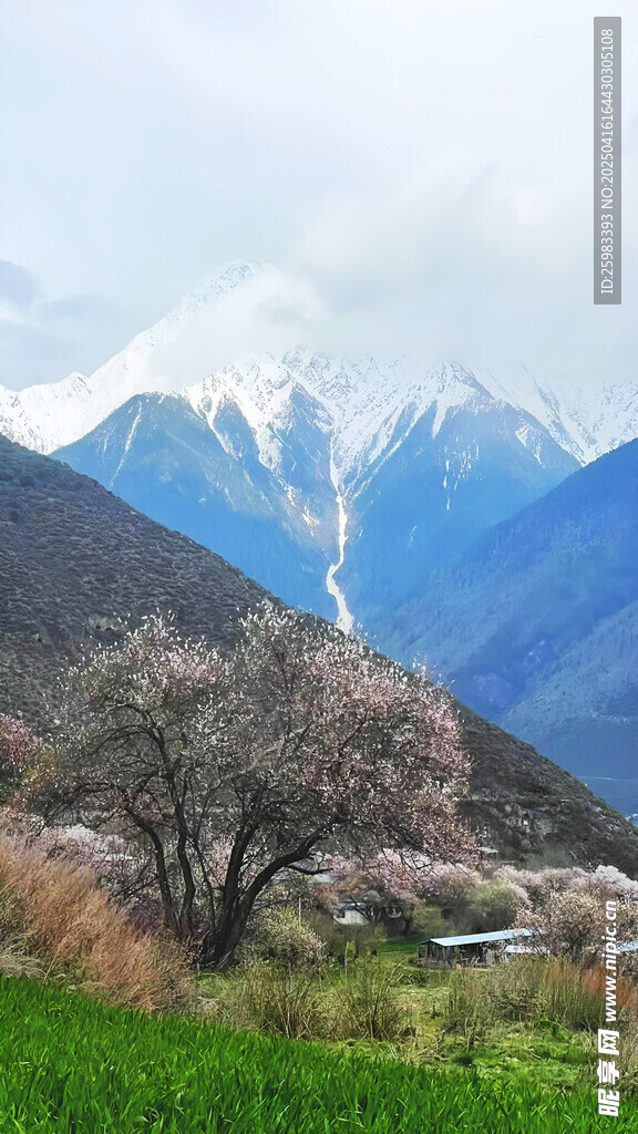 大雪山