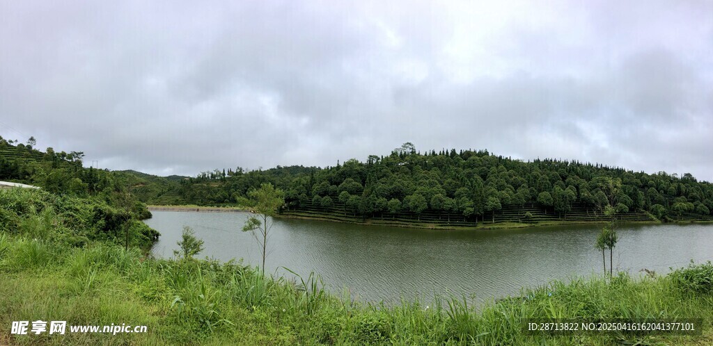 茶山湖畔