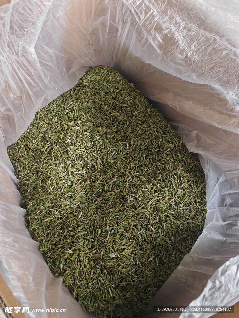 茶叶