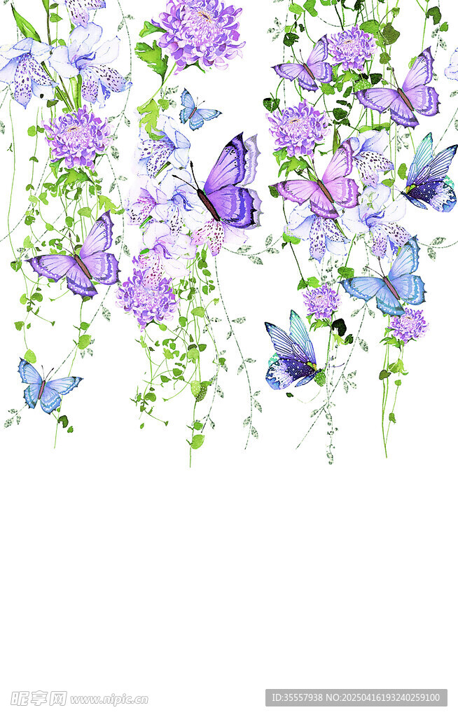 花蝴蝶