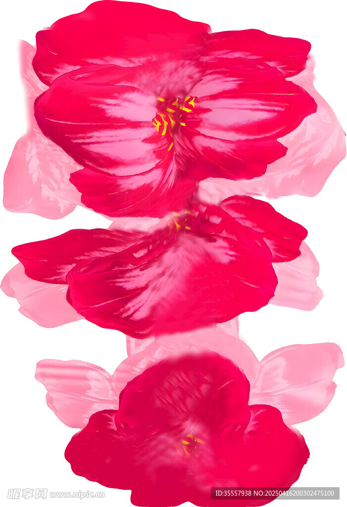 大花