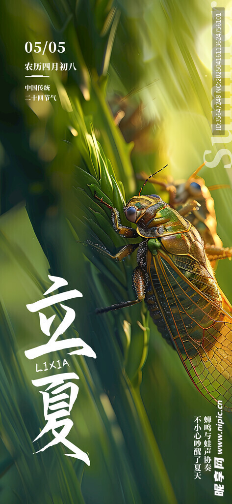 立夏