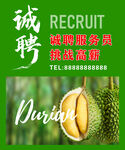 诚聘