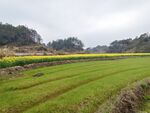 田园风光摄影