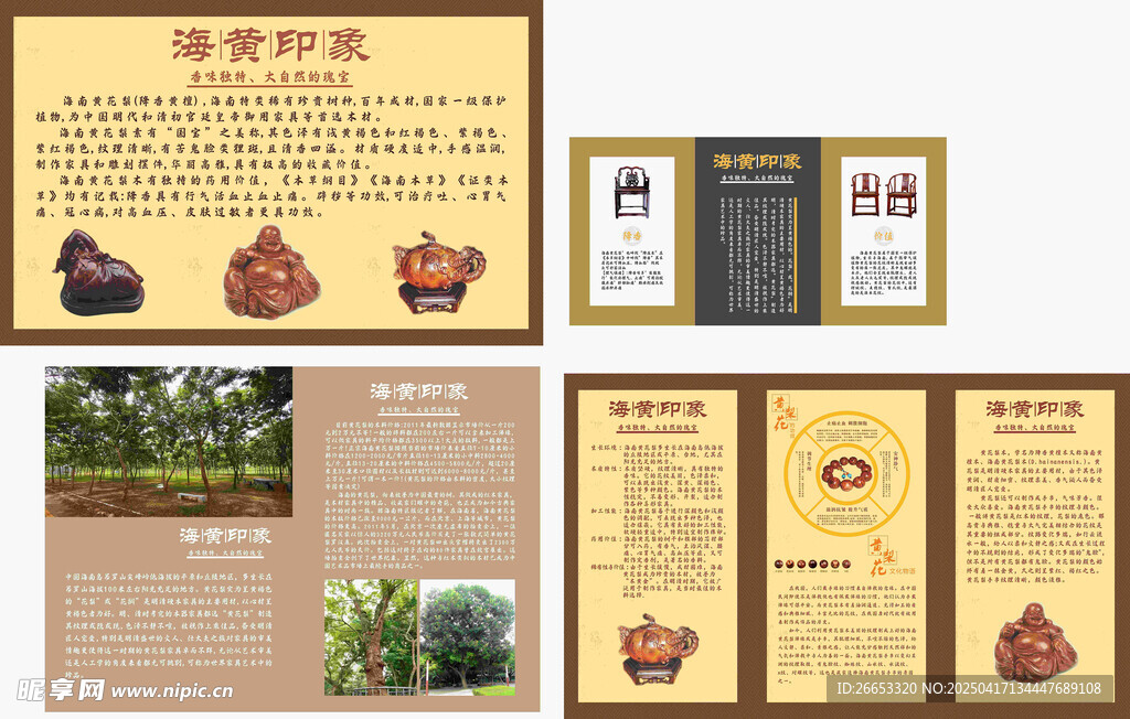 黄花梨