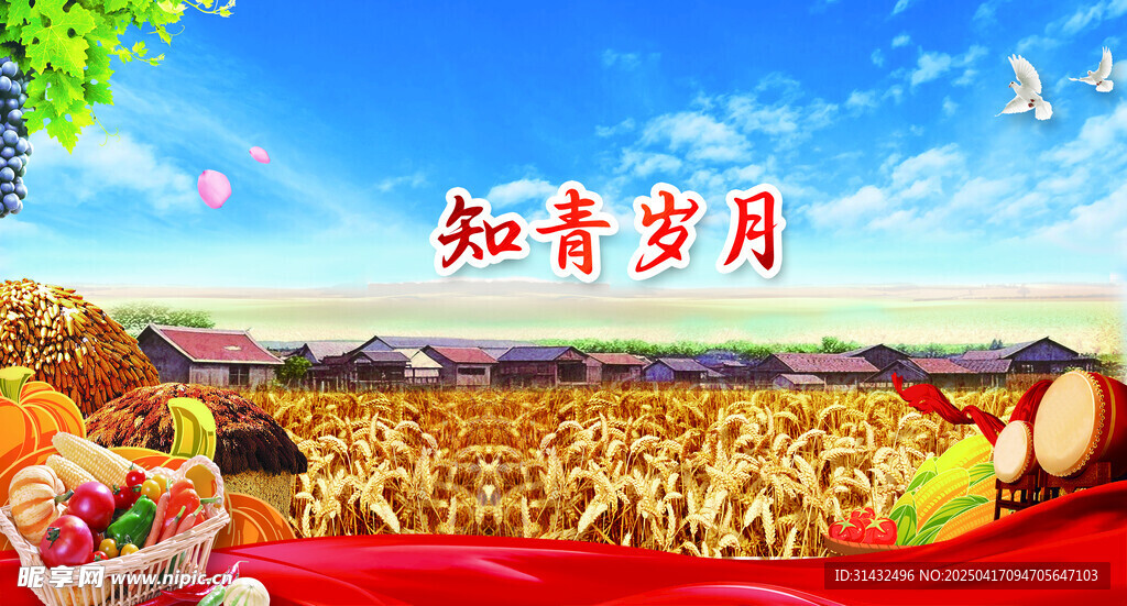 知青岁月