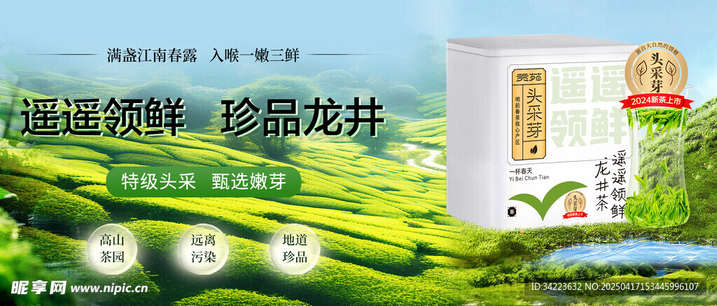 龙井 茶叶 绿茶