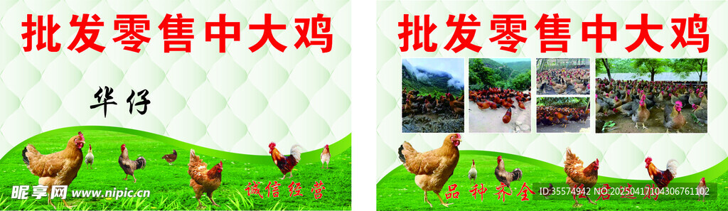批发零售中大鸡