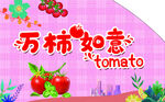 西红柿