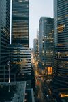 都市夜景中的林立高楼