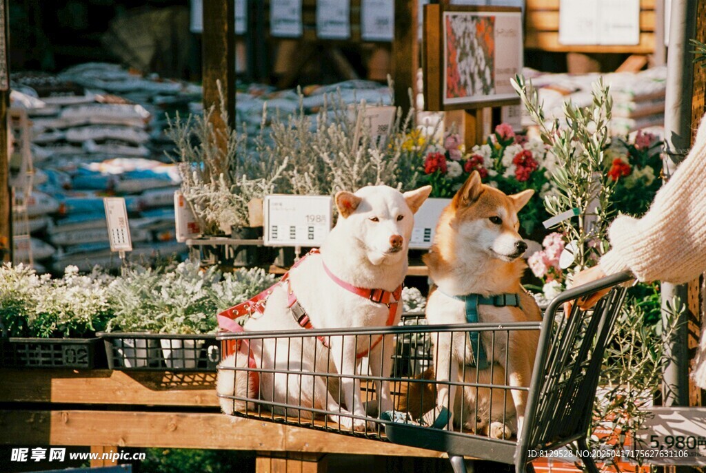 杂货店内可爱玩偶陈列