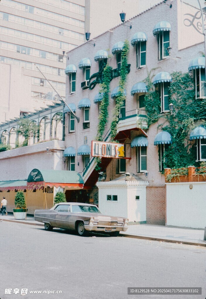 复古街道旁的绿植覆盖建筑