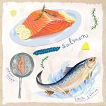 手绘鱼类美食插画作品