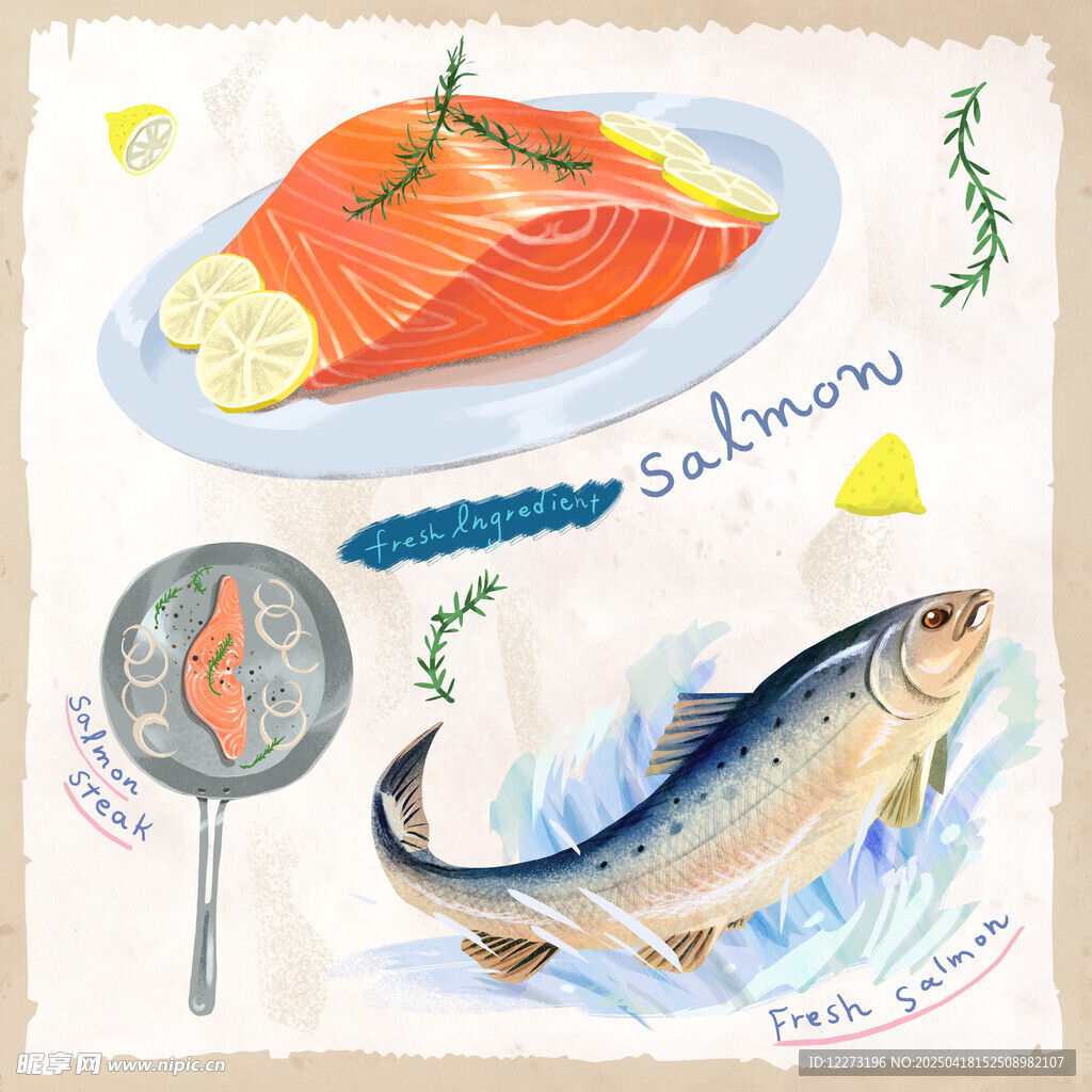 手绘鱼类美食插画作品