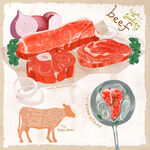 优质牛肉食材插画展示