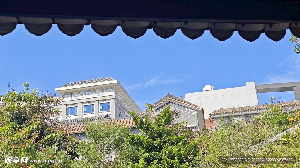 绿树环绕的现代住宅