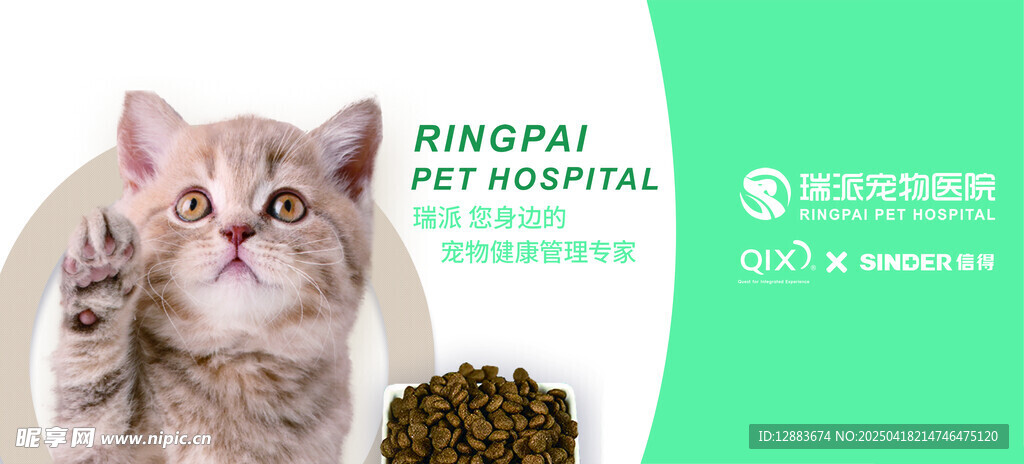 可爱猫咪宠物医院