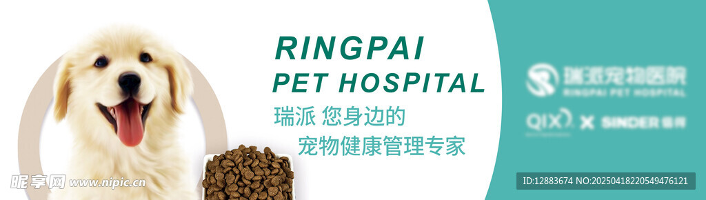 宠物医院前的可爱狗狗
