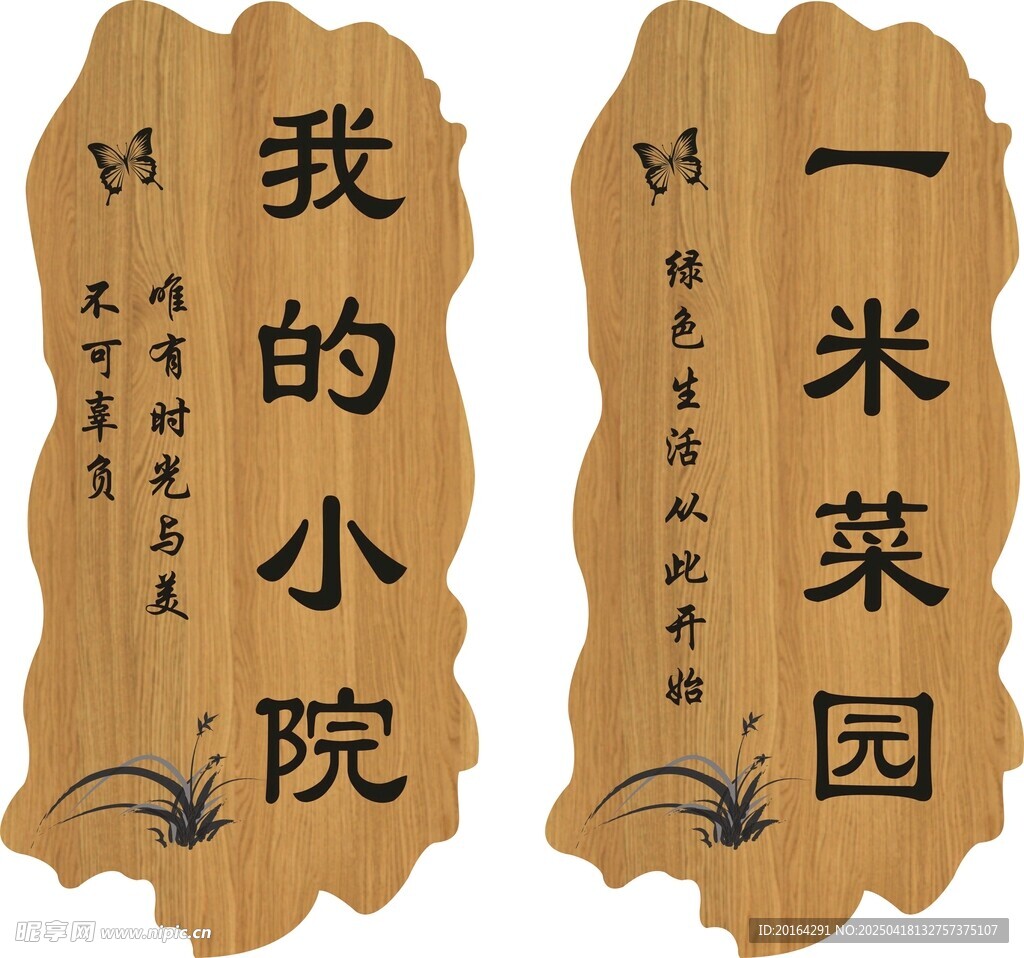 我的小院 一米菜园