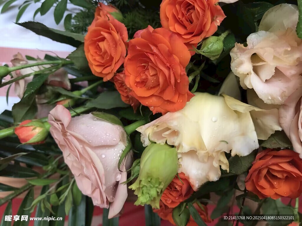 多彩娇艳鲜花组合