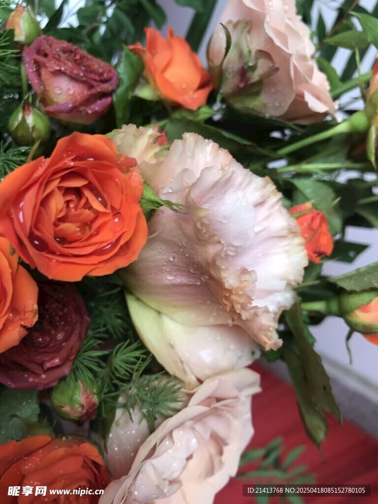 多彩花卉组合